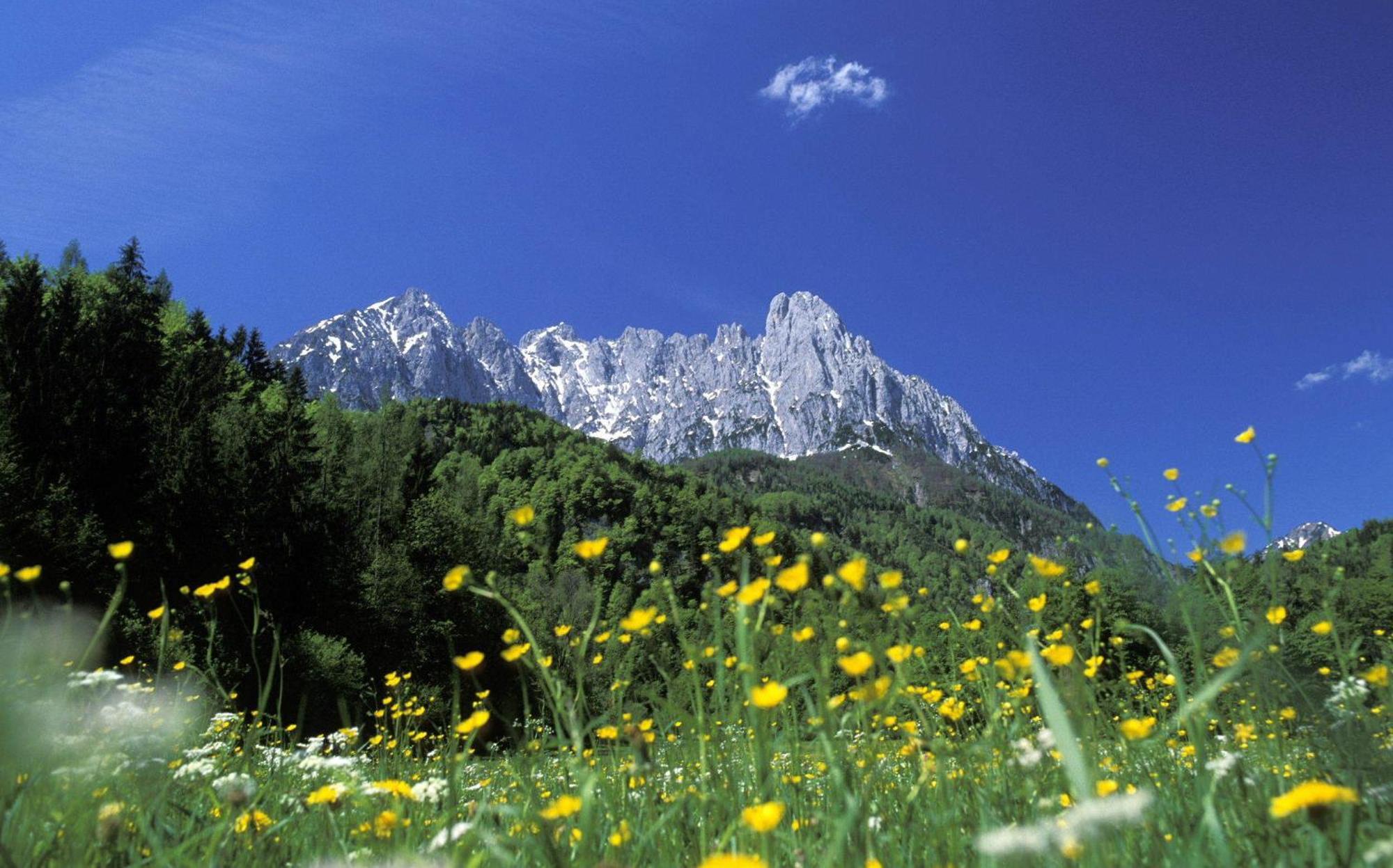 Landhaus Foidl Sankt Johann in Tirol Exteriör bild